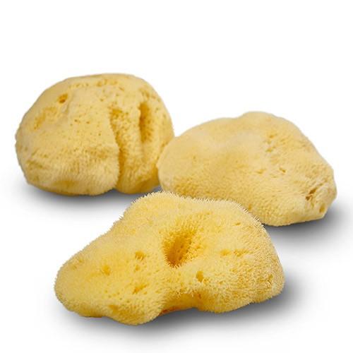 Natursvamp Silke 7-8 cm - Økologisk Vaskesvamp