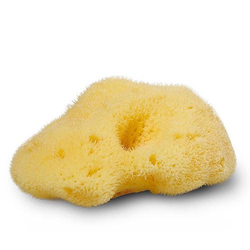 Økologisk Natursvamp Silke 4-5 cm - Personlig Pleje