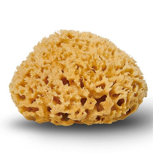 Økologisk Natursvamp Honeycomb 10-11 cm - Personlig Pleje