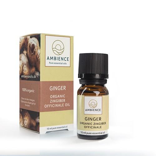 Økologisk Ingefær Olie 10 Ml fra Ambience - Aromaterapi