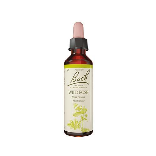 Bach Hunderose 10 Ml - Originale Blomsterremedier