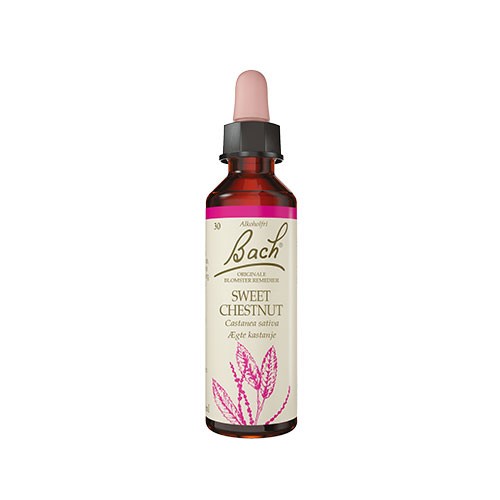 Bach ægte Kastanie   10 Ml     fra Bach Originale Blomsterremedier