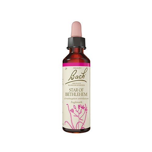 Bach Kost Fuglemælk   10 Ml fra Bach Originale Blomsterremedier