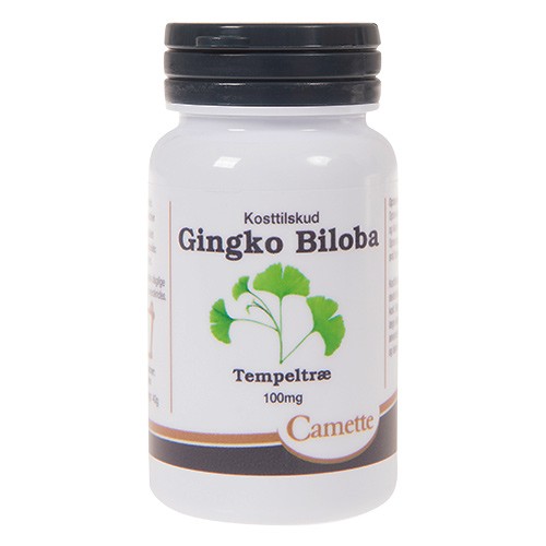 Ginkgo Biloba 100 Mg   90 Styk     fra Camette