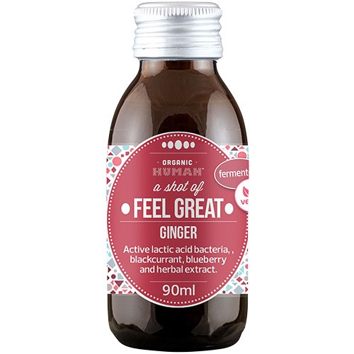Fermenteret Ingefærshot   økologisk    90 Ml fra Human